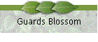 Guards Blossom