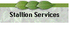 Stallion Services